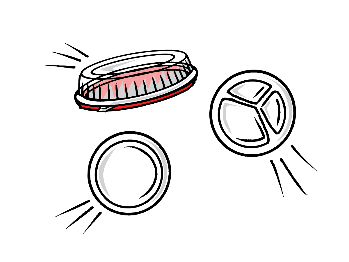 Food Trays and Plates